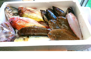 wNxYI@Ă邩y(=^E^=)ĔI Ԃ̋`@