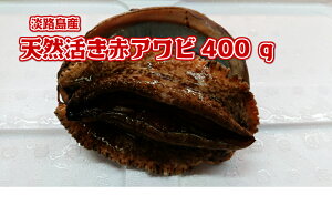 ArEI1ITCYIIIwWHY@VRԃArx1550g`600g10300`I