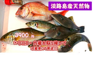 NJ^Ă邩y݁IIuԂ̋v@Rǂ̒Ԃ̂ސ荇킹@