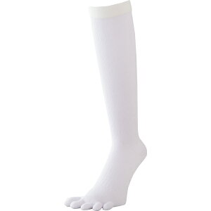 y[։230~zy SSK GXGXPC zy \bNX C z싅@A_[\bNX@GXGXPC 5{wJ[\bNXi⋭j SSK-YA1501 (10)zCg YEjZbNX NX}