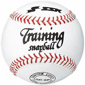 [ő2000~OFFN[|s]y SSK GXGXPC zy{[z 싅 Xibv{[ GDSP [210319] NX}X v[g