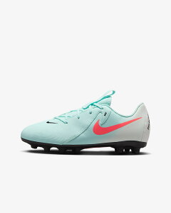 y iCL NIKE zyV[Y@Cz TbJ[ WjA XpCN iCL WjA t@g GX 2 AJf~[ HG V[Y q LbY FJ2602 (300) ~g [ten][250212][amz]
