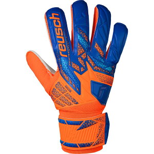 y[֑zy 2025N H~fzy CV reusch zy  O[u z TbJ[ L[p[O[u AgNg \bh S[L[p[ O[u Y fB[X jp 