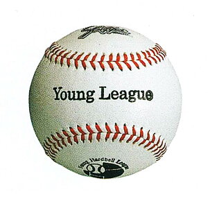 yzy vۓcXbK[ N{^ zy{[z싅@O[O(1_[X@12)@BA-51[amz] NX}X v[g