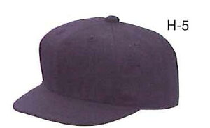 yzy vۓcXbK[ N{^ z 싅 RpXq ApCA[Lbv vۓc XbK[ R Xq Lbv H-5 H-6 H5 H6[amz]