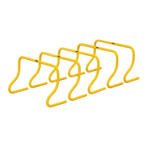 [ő2000~OFFN[|s]30cm(5g)I͌g[jOɃIXXIAđfz邱ƂŁAҊ֐߂gy jVX|[c NISHI zyg[jOpiz