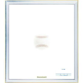 【ユニックス　UNIX】【卒業記念品】額色紙 (野球)　サイン色紙　寄せ書き　変色防止　FD14-22　[200427]