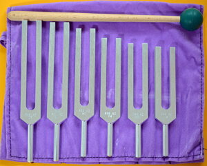 y{30%OFFzyBIOSONICSznCO[h@\tFWI@`[i[@6{Zbgy528hz܂ށz