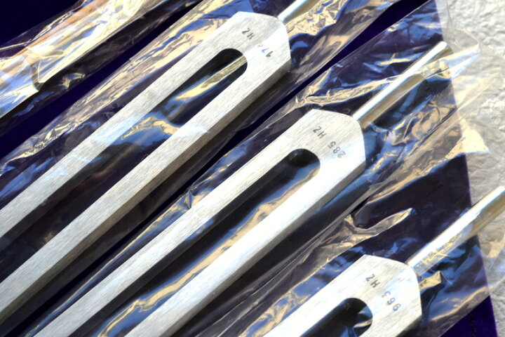 楽天市場】【数量限定30%OFF】【アメリカBIOSONICS製】ハイグレード 