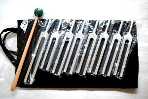 y{30%OFFznCO[h tB{ib`  `[i[ZbgyBIOSONICSАz