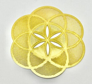 yyVňlɒzERGON V[hIuCt GOLDGiW[J[h Ñ_􉽊w K^ J^ 아 8cm^v[gyz