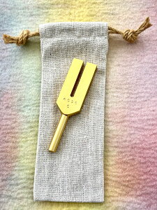 y{50%OFFzyzylR|XΏہznCO[h GOLD NX^`[i[ { lP[Xt y򉻁zyq[OzyBIOSONICSzy키݃IWiz