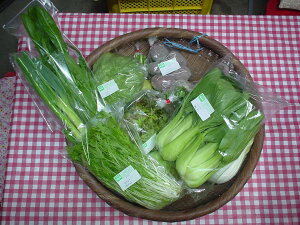 GRR100L@_؃Zbgi8`10iځj