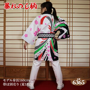 ͂ @ t[TCY :6365ij{100% ywZiz g85cmgЖ66cm  Z nbs festival {̂Ղ Cxg yY Ղ ՗ _ 񂶂 n ۑ wZ 