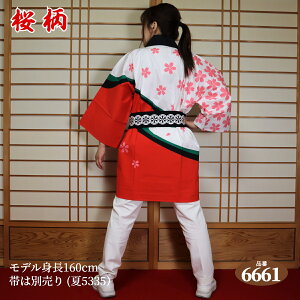 ͂ @ t[TCY x:6661iԁj{100% ywZiz g85cmgЖ66cm  Z nbs festival {̂Ղ Cxg yY Ղ ՗ _ 񂶂 n ۑ w