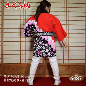 ͂ @ t[TCY M:6487iԍj{100% ywZiz g85cmgЖ66cm  Z nbs festival {̂Ղ Cxg yY Ղ ՗ _ 񂶂 n 