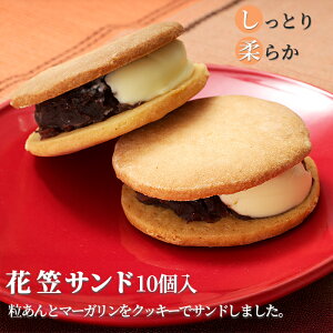 Ԋ}Th kCY }[K Tu Th Ƃ 炩 Ăَq 10 R`s amَqςǂ ŏ삠䂫{