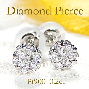 Pt900y0.20ctz_Ch sAXt[sAX 킢 lC _CsAX v`isAX ԃsAX 0.2Jbg sAX ؚ  萔 iۏ؏ J 蕨 