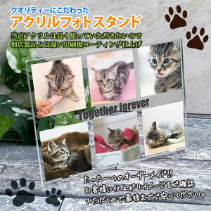 アクリル写真スタンド ペット アクリルフォト フォトプレート パネル 写真 フォトフレーム 愛犬 ネコ イヌ 犬 メモリアル 遺影 仏具 位牌 ペット供養 記念 ペットロス オーダーメイド パネル