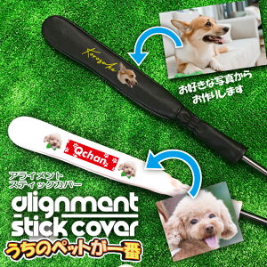 ̃ybgtFCX  ACgXeBbNJo[ St (S4F) VtgJo[ cA[XeBbNpU[wbhJo[ Mtg v[g i` Vv IWi