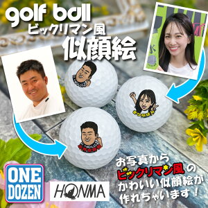 �ʐ^����r�b�N���}���� ����G���o����I HONMA D1 �S���t�{�[���i12��/1Dozen�j �v���[���g�ɂ��œK�� ������ �v�����g �ʐ^ �C���X�g �摜 �}�C�{�[�� GOLF BALL ORIGINAL PRESENT �z���} �M�t�gBOX��
