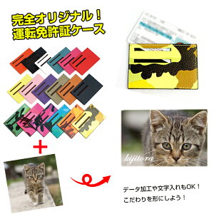 yzSIWi ^]Ƌ؃P[X (S18F) {v Ƌ؂̃vCoV[ی Jt  IV Ƌ؃P[X Ƌؓ v[g yAWESOME/I[Tz