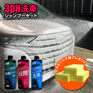 ACOAT 3phԃVv[3{Zbg Vv[ EVv[ _Vv[ 500ml ԃVv[ 3ph ԗpi AR[g G[R[g J[Vv[ Zk^Cv vdl Ԑ Zk