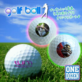 オリジナルのプリントができる！ ゴルフボール（12個/1Dozen） プレゼントにも最適♪ 名入れ プリント 写真 イラスト 画像 マイボール GOLF BALL ORIGINAL PRESENT
