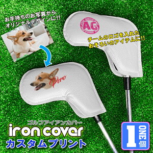 SJX^ ACAJo[ (zCg) St ACAt[hJo[   ʐ^ StJo[ ACA StACAt[h Mtg v[g Ehpi v[g M