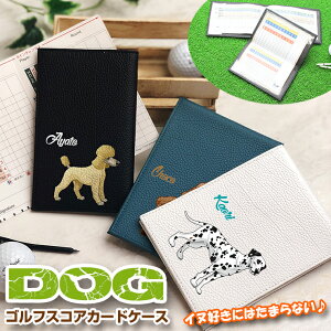 hbO fUC  StXRAJ[hz_[ (S16F/3^Cv) {v St XRAJ[hz_[ XRAJ[hP[X StP[X U[ v StObY Stpi E