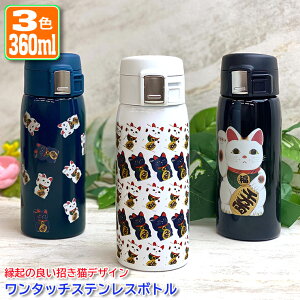 LfUC ^b`J[rOT[{g 360ml (S3F)  XeX{g ~j{g  IWi w  a O LO LOi {g ۗ ۉ v[