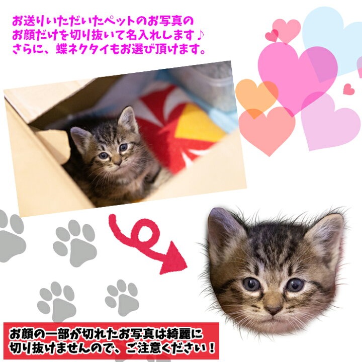 楽天市場 うちのペット フェイス 名入れ オリジナル ミニハードケース ストラップ付き 全10色 犬 猫 イヌ ねこ いぬ 愛犬 愛猫 印刷 名入れ アイコスケース Gloケース タバコ 化粧品 収納 Iqos グローケース ポーチ レディース メンズ 小物入れ Awesome オーサム