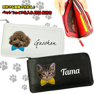 ̃ybg tFCX  {v ^z S6F  L Ck ˂   L   킢 ^ fB[X Y yAWESOME/I[Tz