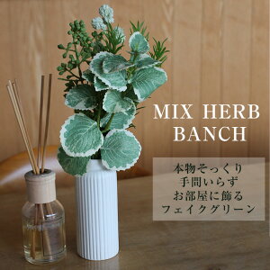  y tFCN O[ z܂Ŗ{݂ ϗtA OX n[u O[  A A tFCN AXJ ~bNXn[uo` o` AW AW