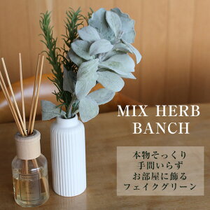  y tFCN O[ z܂Ŗ{݂ ϗtA OX n[u O[  A A tFCN AXJ ~bNXn[uo` o` AW AW