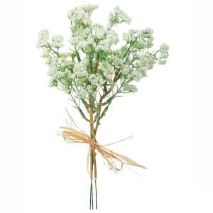  y tFCN t[ zݑ ܂Ŗ{݂  ϗtA O[  A A tFCN AXJ o` xr[uX AW AWg AWł