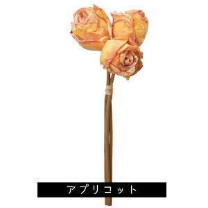  y tFCN t[ z܂Ŗ{݂ AeB[N [Y  ϗtA KN o [Y  A tFCN AXJ o` AW AWg AWł