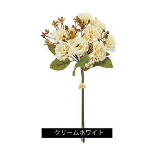  y tFCN t[ u[P z܂Ŗ{݂  ϗtA J[l[V  A tFCN AXJ o` AW AWg AWł f  