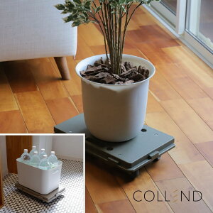 yPOINT10{zCOLLENDiRhjz[L[yz֑Ώہz RpNg LX^[t