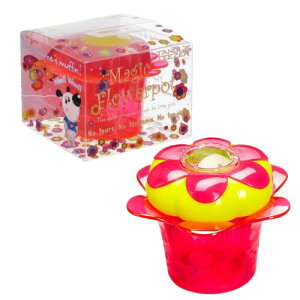 TANGLE TEEZER(^OeB[U[) }WbN t[ |bg #PRINCESS PINK [sAi]