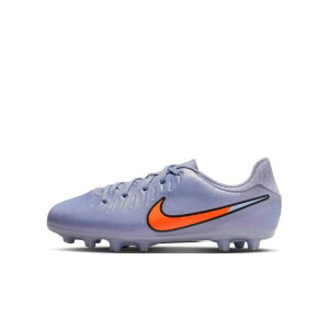 NIKE(�i�C�L) JR LEGEND 10 ACADEMY HG DV4349
