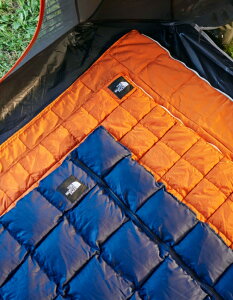 THE NORTH FACE (�U�m�[�X�t�F�C�X) COZY ONE BAG�@NBR42406 Col.69 NAVY