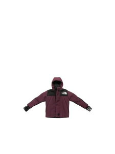 THE NORTH FACE(UEm[XEtFCX) ~j }Ee WPbg NN32452 Col.AP ApCv TCY H11.5×W6.5cm