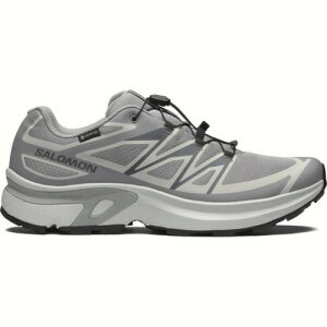 SALOMON(�T������) XT-EVR GTX M L49143800 Col.ALLOY/LUNAR ROCK/BLACK 26�N�t�ă��f��
