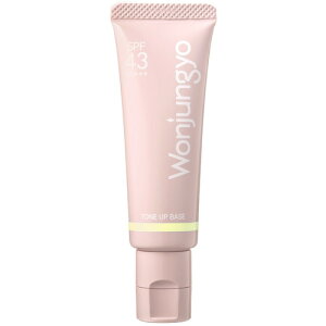 Wonjungyo EHW g[Abvx[X N 25g 02 CCG[ SPF43 PA+++ [3725][P3]