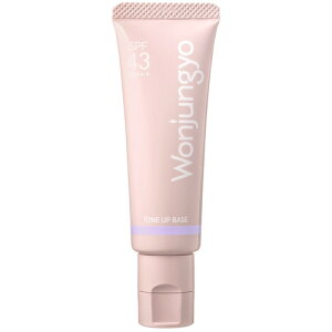 Wonjungyo EHW g[Abvx[X N 25g 04 Xm[x SPF43 PA+++ [3749][P3]