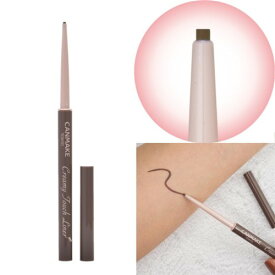 キャンメイク クリーミータッチライナー 0.1g [11]クラウディーグレー [5249][P2]