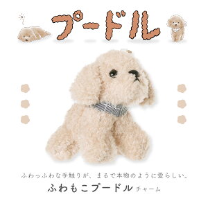 v[hʂ݃`[ ӂӂG肪gCv[h}XRbg Aj}L[z_[ obO`[ DɁ w w Z v[g Mtgɂ҂