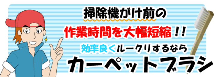 楽天市場 車内クリーニング用ブラシフロアマットやトランクなどの 汚れ掻き出し用ブラシ カーペットブラシ 洗車ブラシ 洗車 ブラシ カーペットクリーナー 強力ブラシ 車ブラシ 車 ブラシ ルームクリーニング ブラシ 内装クリーナー ブラシ洗車 カークリーニング用品の