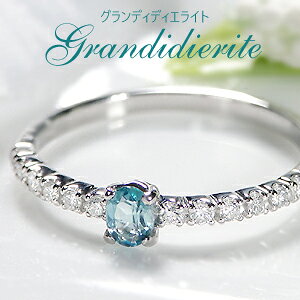 Pt900 【3.0x4.0mm】オーバル グランディディエライト ダイヤモンド リング エタニティ 指輪 1粒 プラチナ ダイヤ リング ダイア ひと粒 入学祝い 一粒石 ギフト 重ねづけ 希少石 おしゃれ レアス